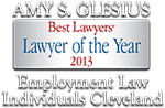 lawyer of the Year Badge